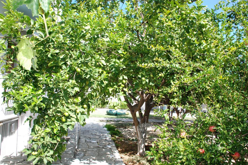 Apartamento Kostas Family House Káto Ássos Exterior foto