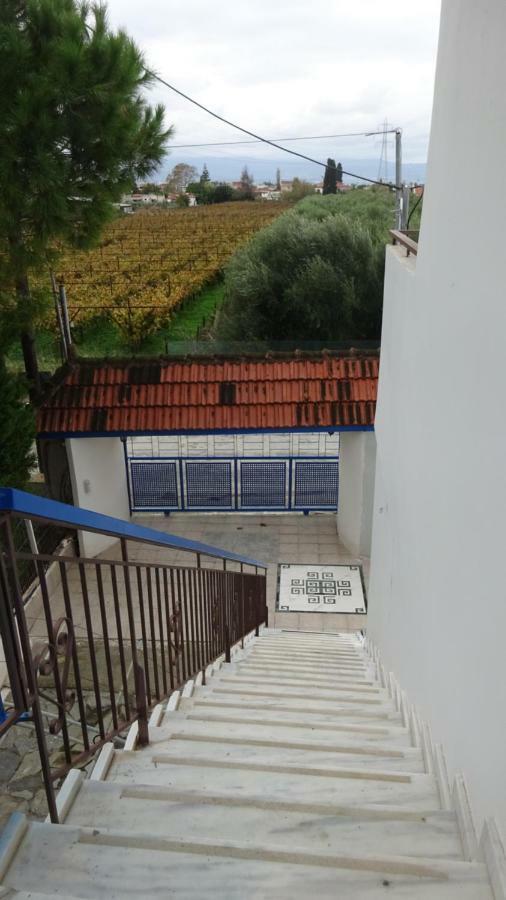 Apartamento Kostas Family House Káto Ássos Exterior foto